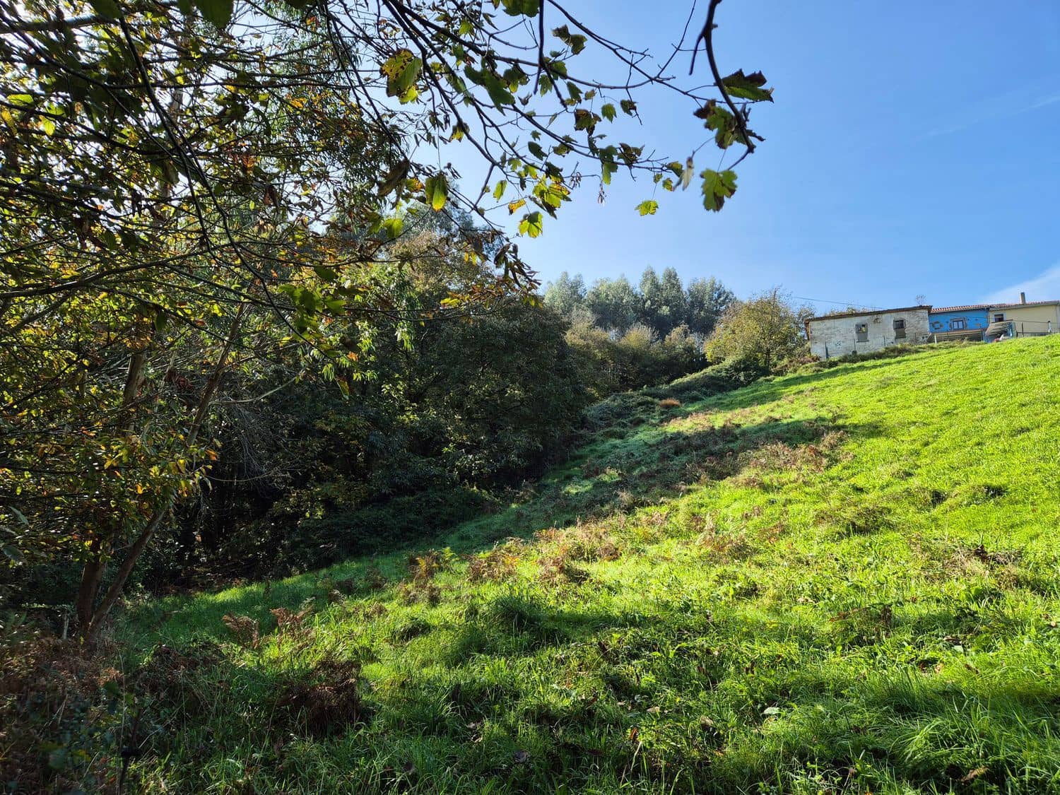 Mark till salu i Cudillero - 55 000 € (Ref: 8792178)