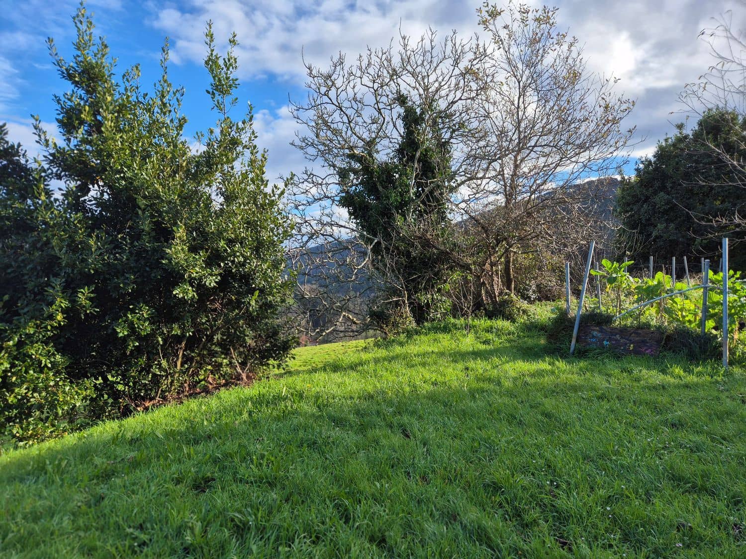 Mark till salu i Cudillero - 55 000 € (Ref: 8792178)