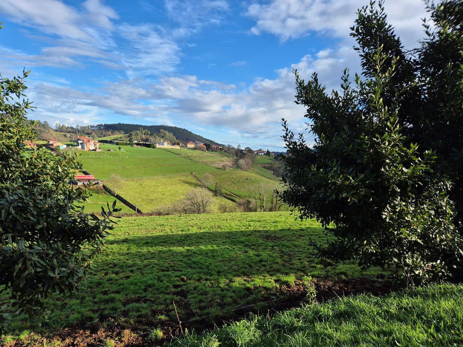 Mark till salu i Cudillero - 55 000 € (Ref: 8792178)