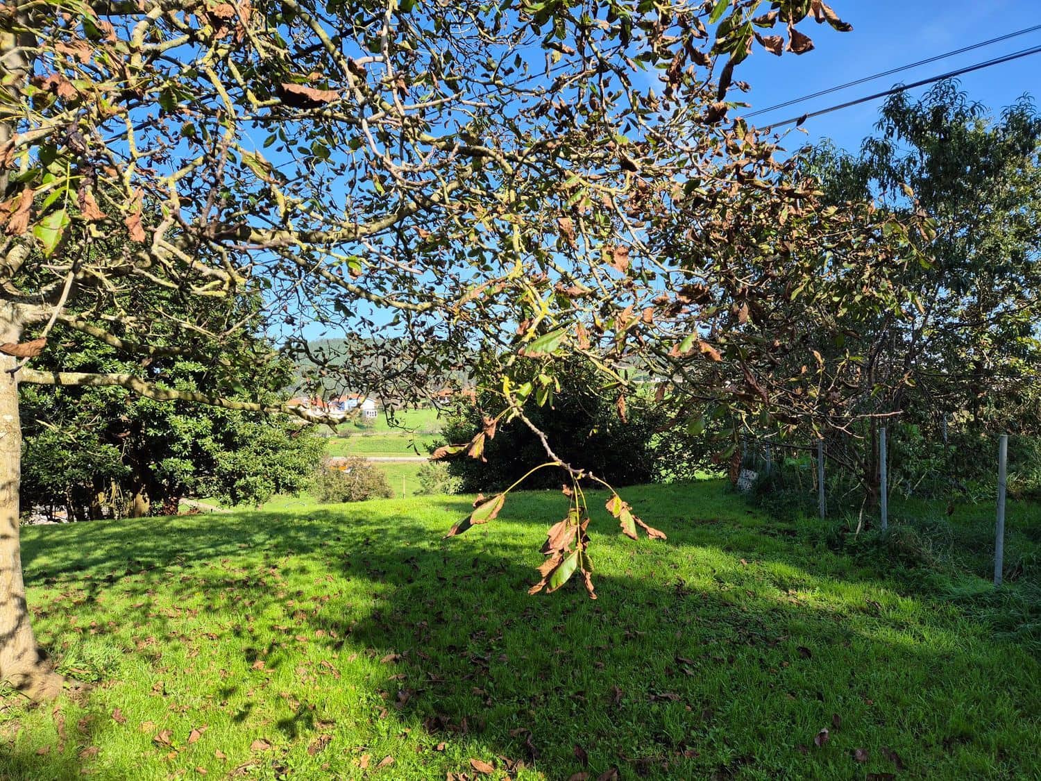 Mark till salu i Cudillero - 55 000 € (Ref: 8792178)