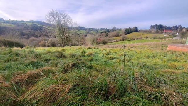 Undeveloped Land for sale in Gijón - € 80,000 (Ref: 8824753)