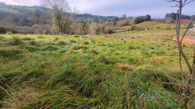 Undeveloped Land for sale in Gijón - € 80,000 (Ref: 8824753)