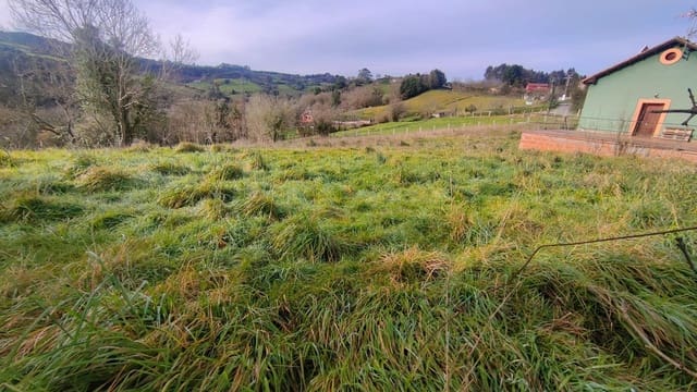 Undeveloped Land for sale in Gijón - € 80,000 (Ref: 8824753)