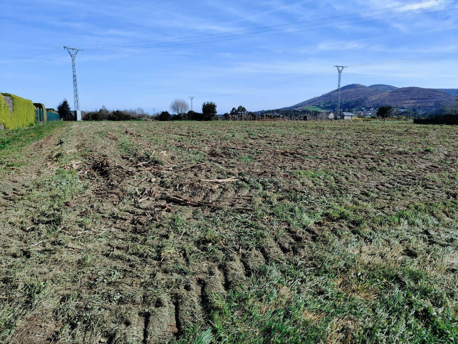 Ubebygd land til salgs i Luarca - € 65 000 (Ref: 8826915)