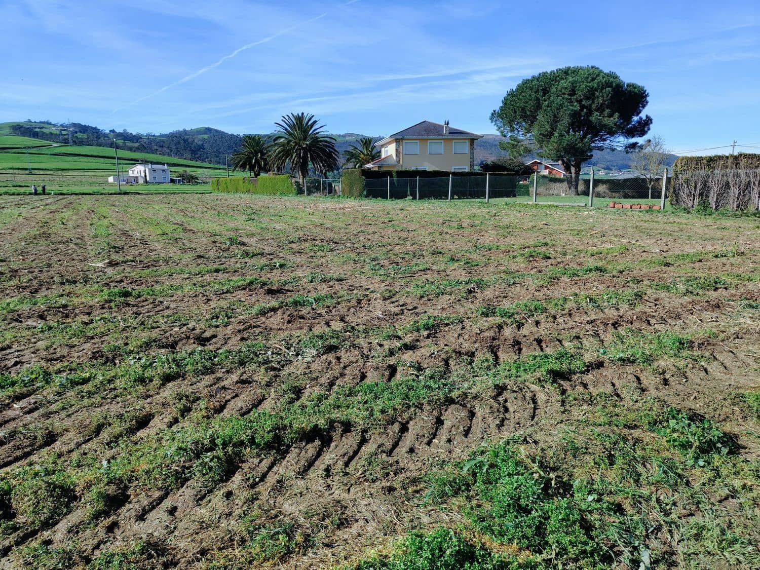 Ubebygd land til salgs i Luarca - € 65 000 (Ref: 8826915)