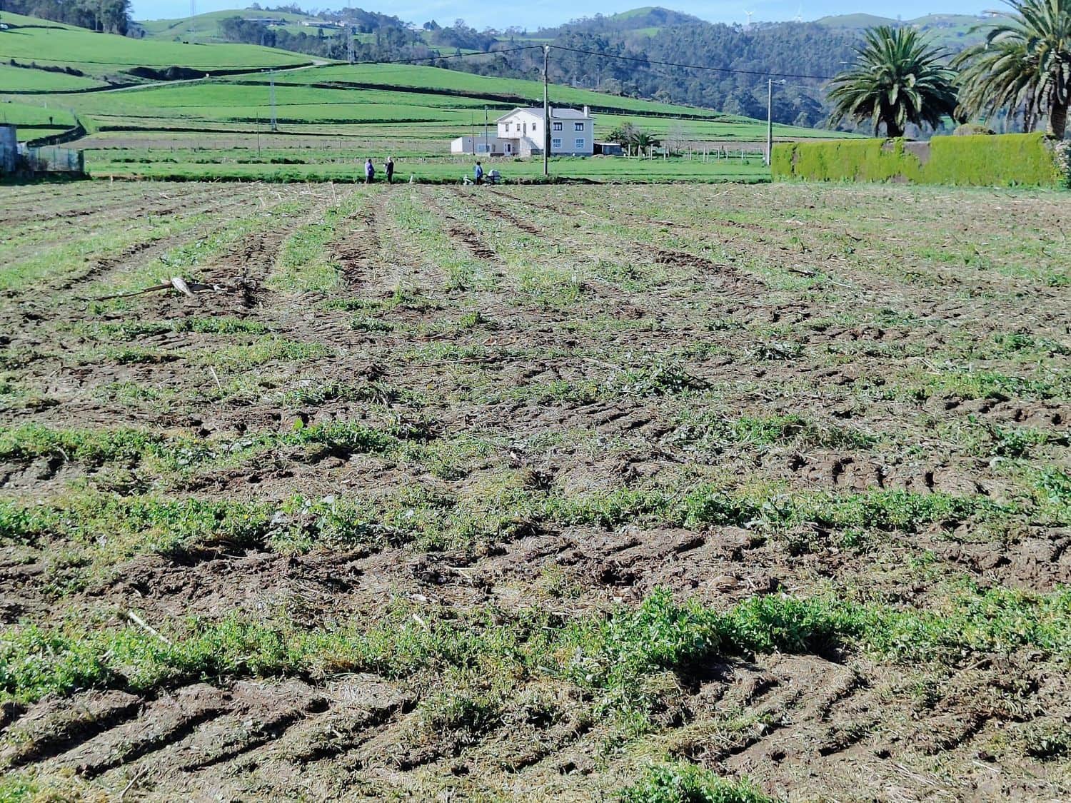 Ubebygd land til salgs i Luarca - € 65 000 (Ref: 8826915)