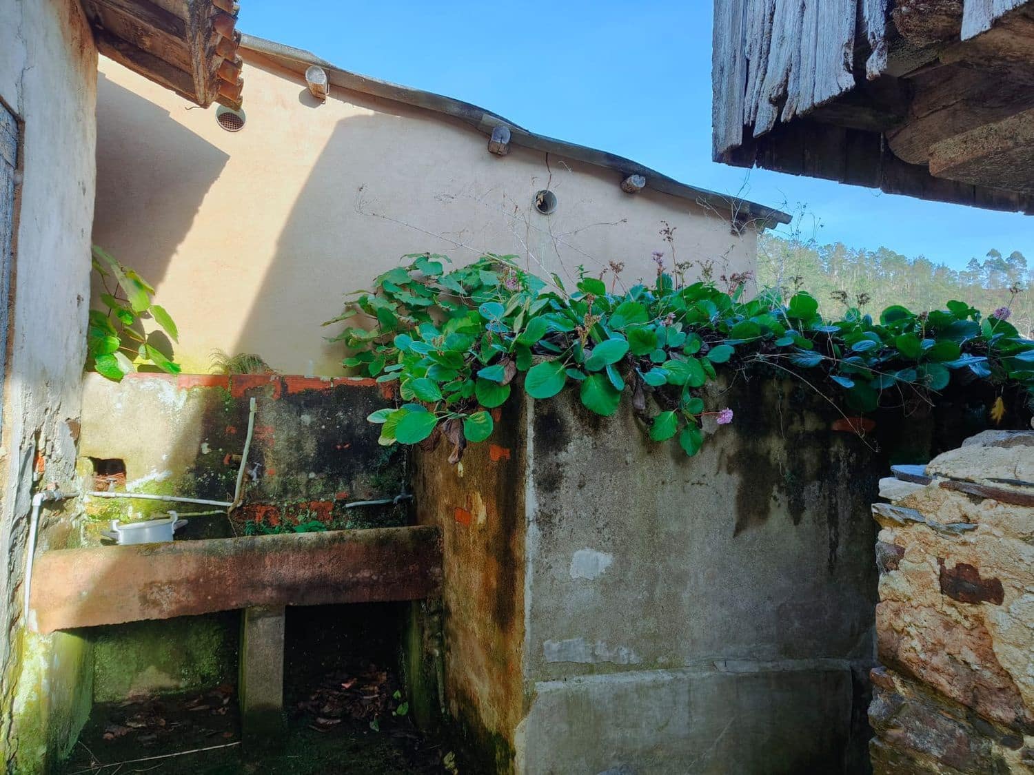 4 sypialnia Finka/Dom wiejski na sprzedaż w Luarca z garażem - 49 900 € (Ref: 8842914)