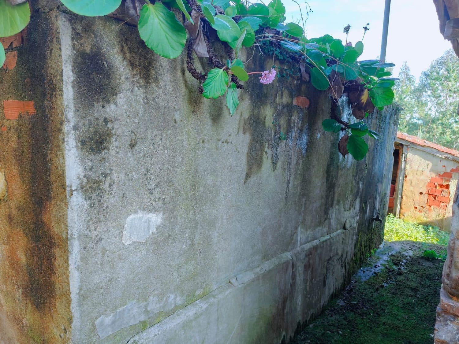 4 sypialnia Finka/Dom wiejski na sprzedaż w Luarca z garażem - 49 900 € (Ref: 8842914)