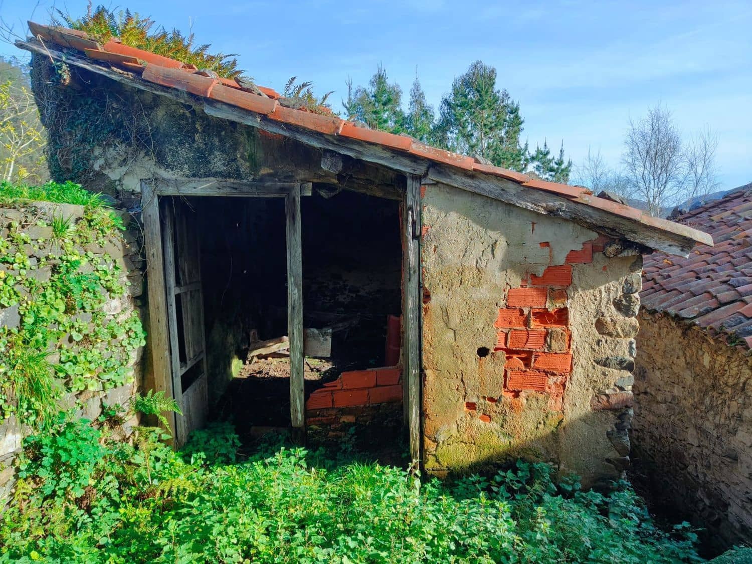 4 sypialnia Finka/Dom wiejski na sprzedaż w Luarca z garażem - 49 900 € (Ref: 8842914)