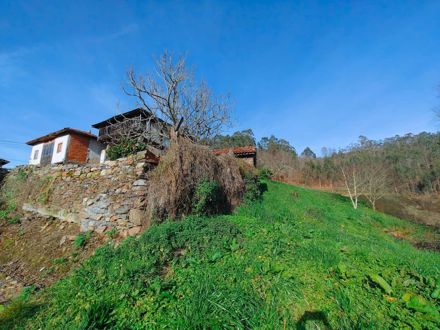 4 sypialnia Finka/Dom wiejski na sprzedaż w Luarca z garażem - 49 900 € (Ref: 8842914)