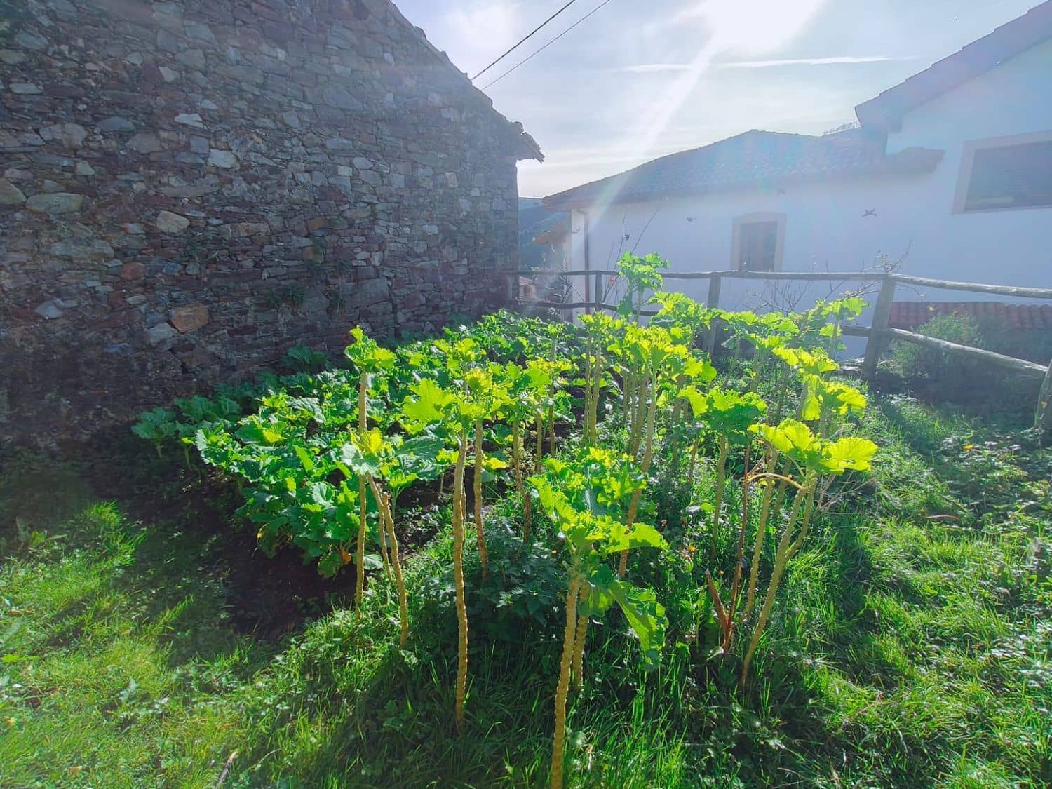 4 sypialnia Finka/Dom wiejski na sprzedaż w Luarca z garażem - 49 900 € (Ref: 8842914)