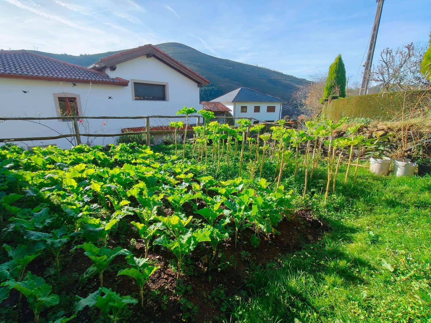 4 sypialnia Finka/Dom wiejski na sprzedaż w Luarca z garażem - 49 900 € (Ref: 8842914)