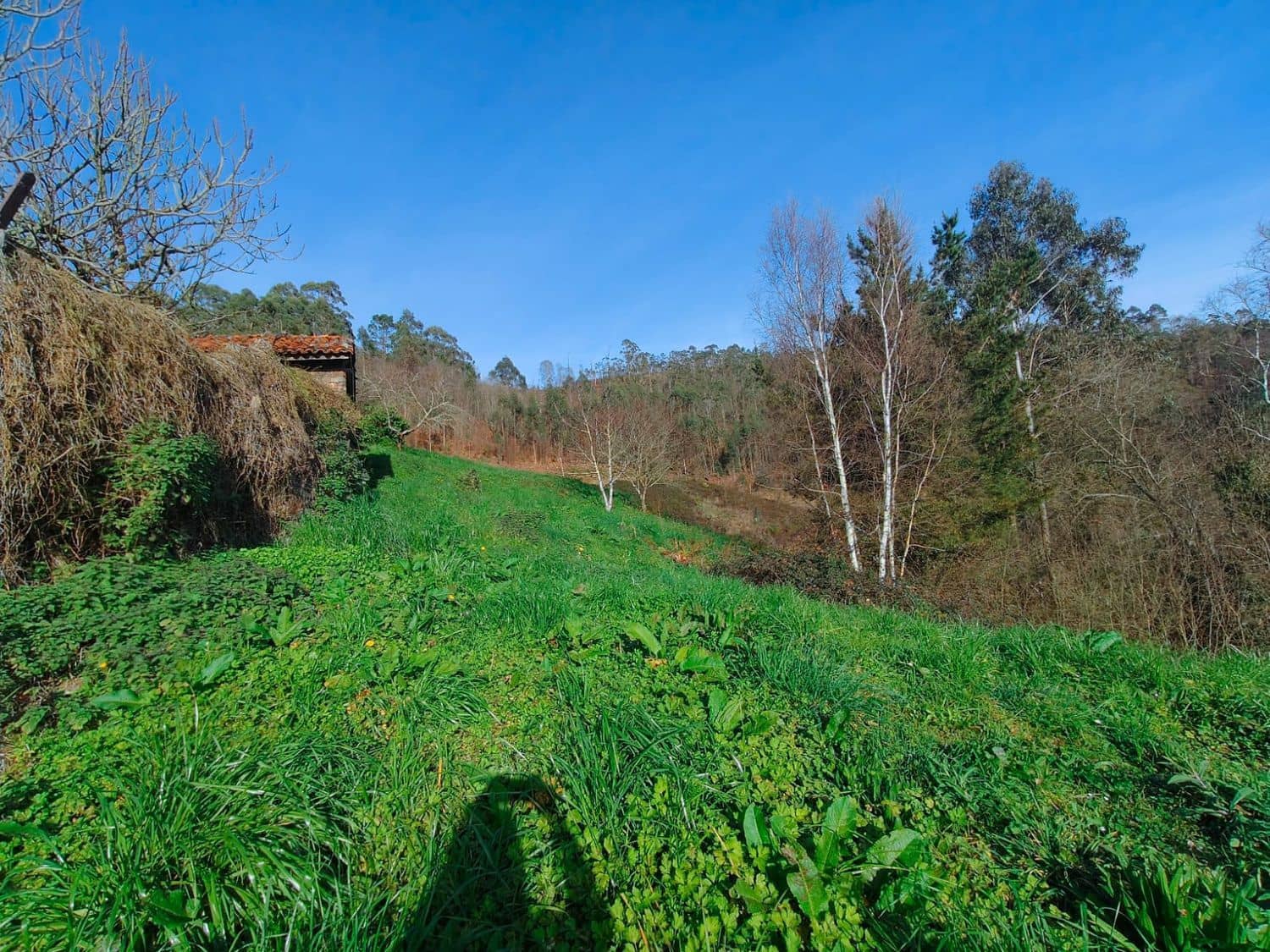 4 sypialnia Finka/Dom wiejski na sprzedaż w Luarca z garażem - 49 900 € (Ref: 8842914)