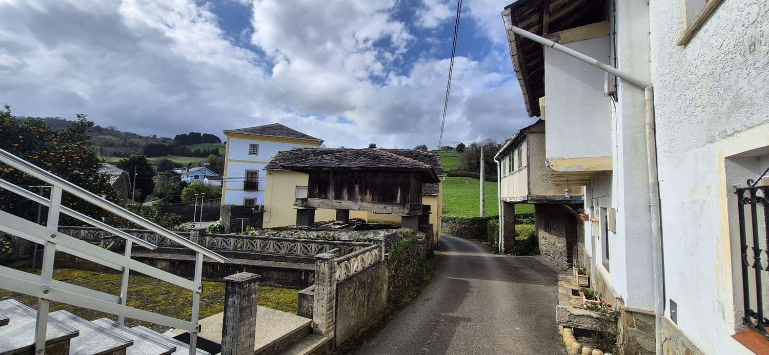 2 chambre Finca/Maison de Campagne à vendre à Coana avec garage - 50 000 € (Ref: 8842915)