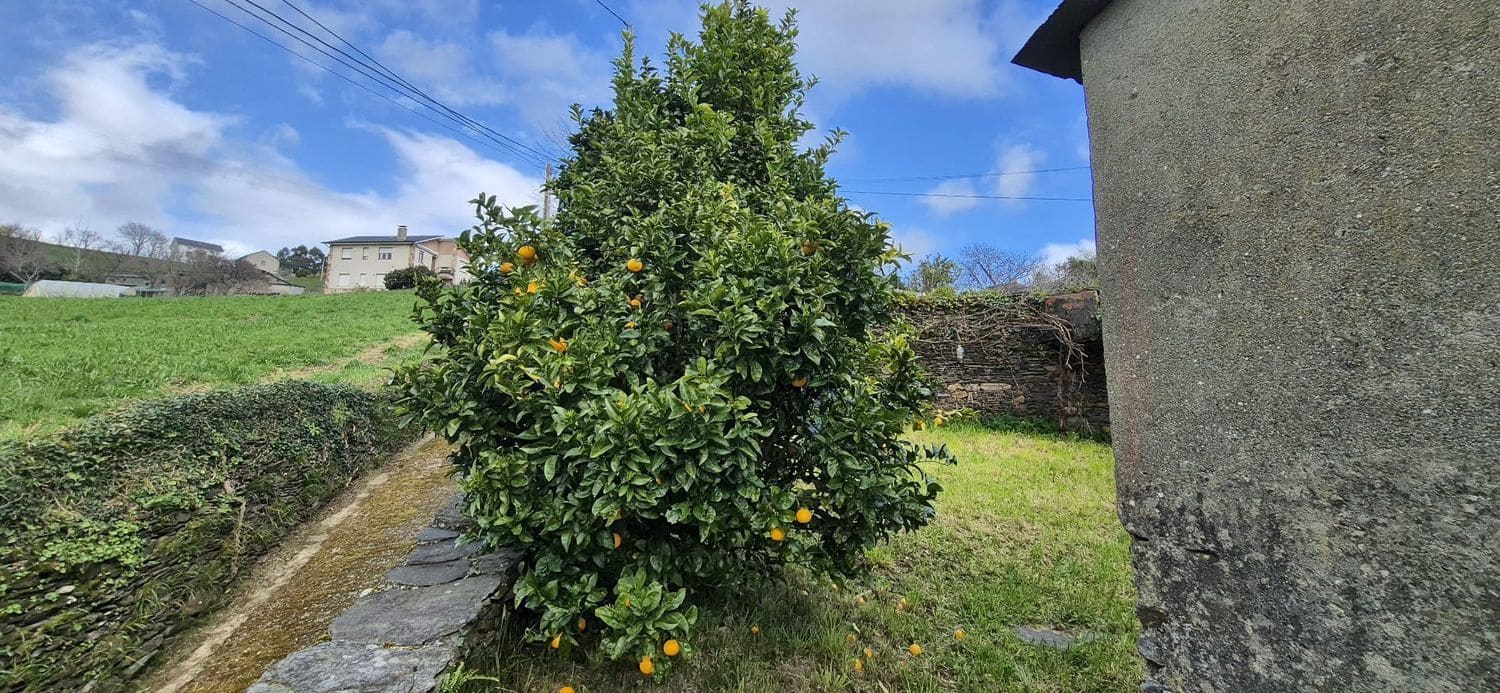 2 chambre Finca/Maison de Campagne à vendre à Coana avec garage - 50 000 € (Ref: 8842915)