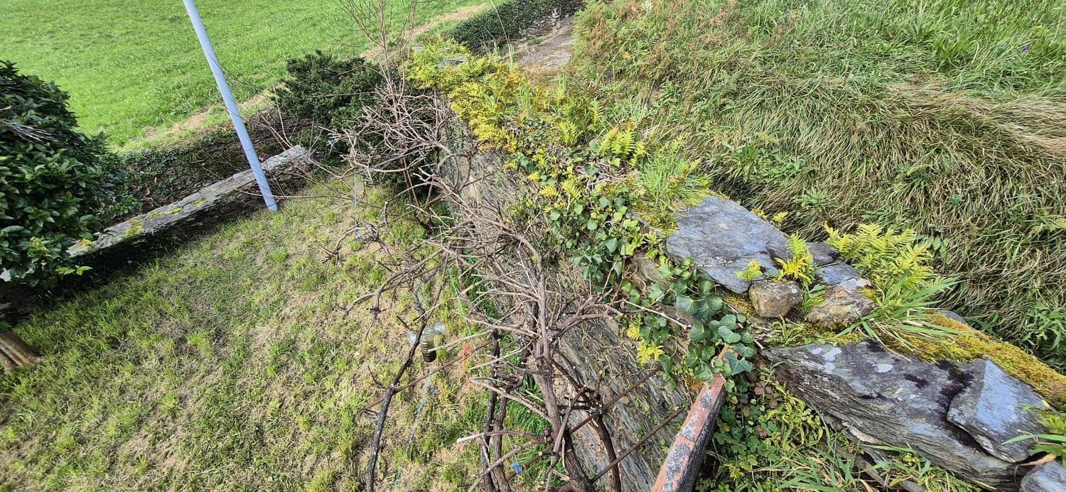 2 chambre Finca/Maison de Campagne à vendre à Coana avec garage - 50 000 € (Ref: 8842915)