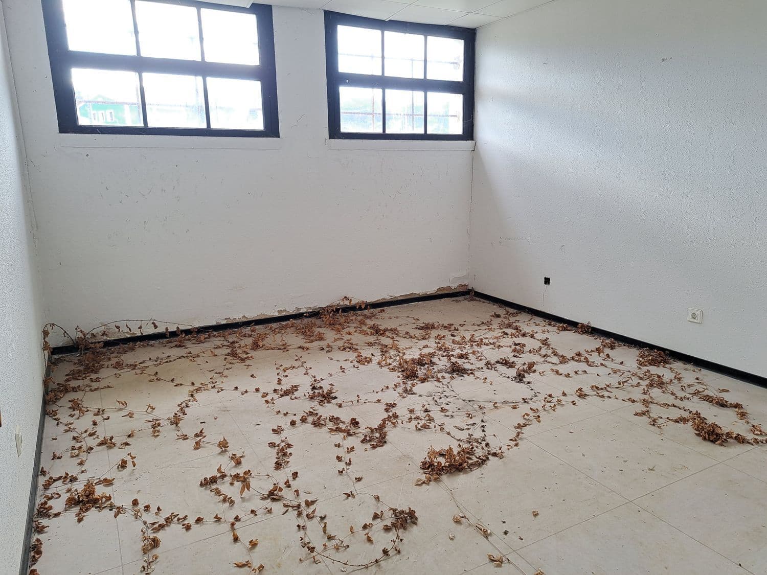 Grunde uden byggetilladelser til salg i Cudillero - € 171.000 (Ref: 8862135)