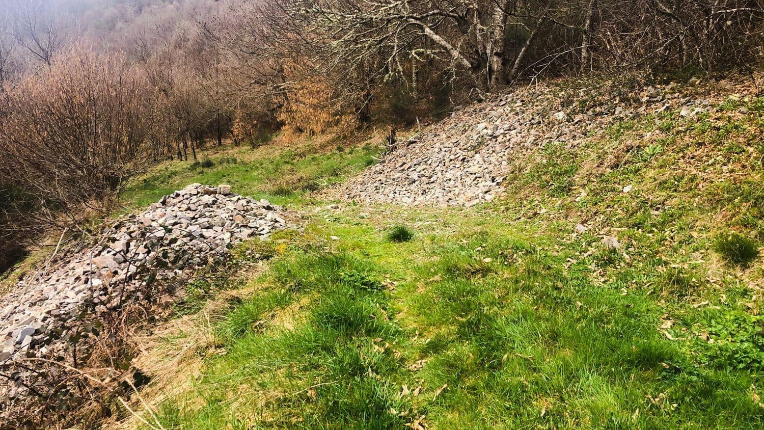 Terreno Non Edificato in vendita in Cangas del Narcea - 90.000 € (Rif: 8873852)