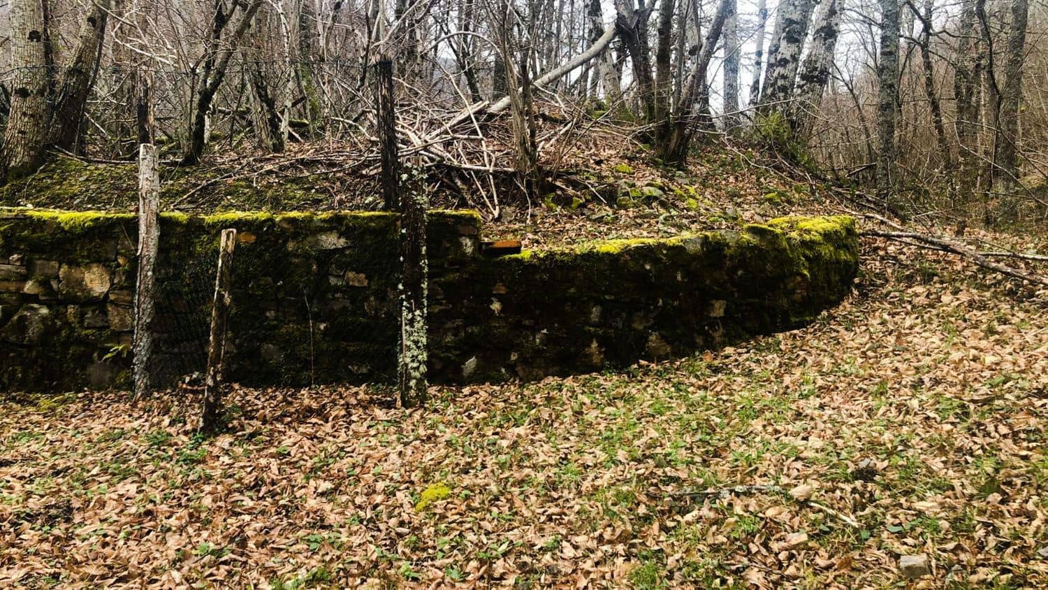 Terreno Non Edificato in vendita in Cangas del Narcea - 90.000 € (Rif: 8873852)