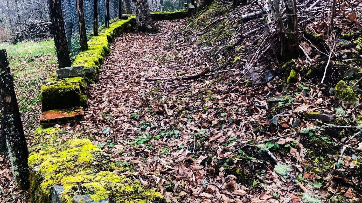 Terreno Non Edificato in vendita in Cangas del Narcea - 90.000 € (Rif: 8873852)