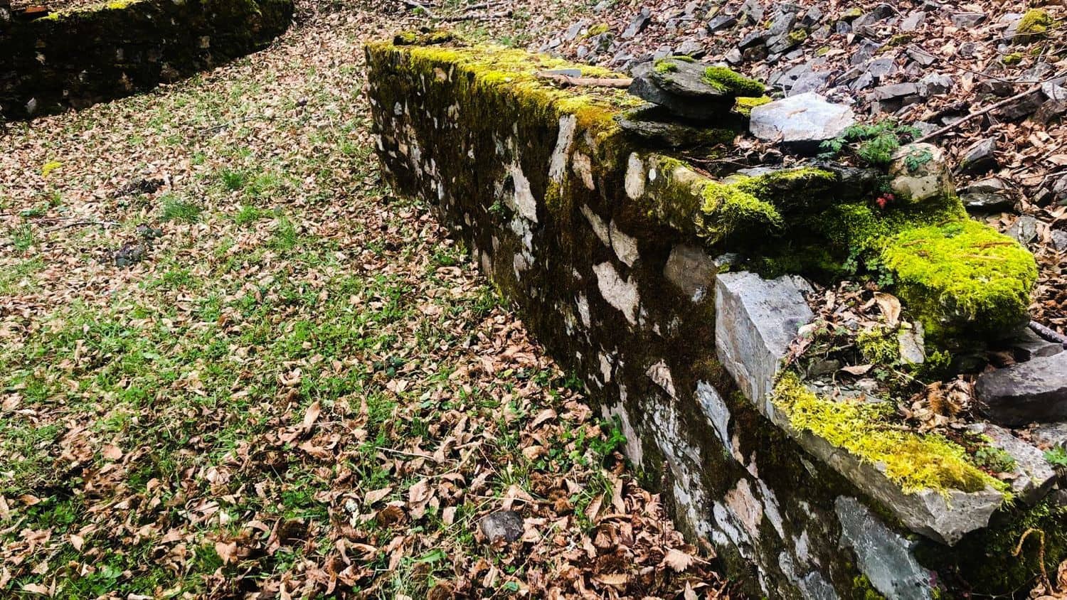 Terreno Non Edificato in vendita in Cangas del Narcea - 90.000 € (Rif: 8873852)