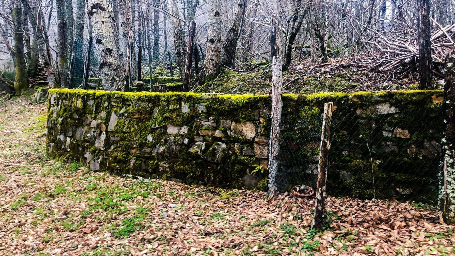 Terreno Non Edificato in vendita in Cangas del Narcea - 90.000 € (Rif: 8873852)