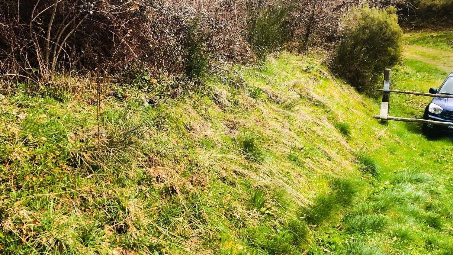 Terreno Non Edificato in vendita in Cangas del Narcea - 90.000 € (Rif: 8873852)