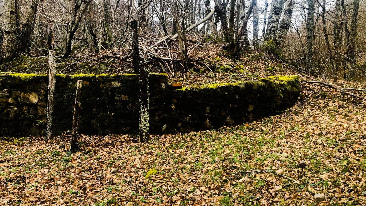 Terreno Non Edificato in vendita in Cangas del Narcea - 90.000 € (Rif: 8873852)