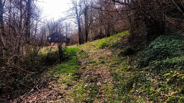 Ubebygd land til salgs i Cangas del Narcea - € 50 000 (Ref: 8873852)