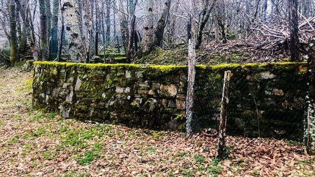 Undeveloped Land for sale in Cangas del Narcea - € 90,000 (Ref: 8873852)