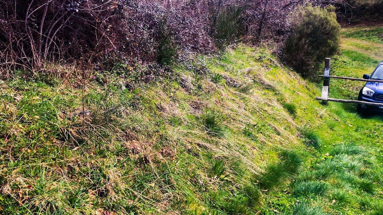 Terreno Non Edificato in vendita in Cangas del Narcea - 90.000 € (Rif: 8873852)