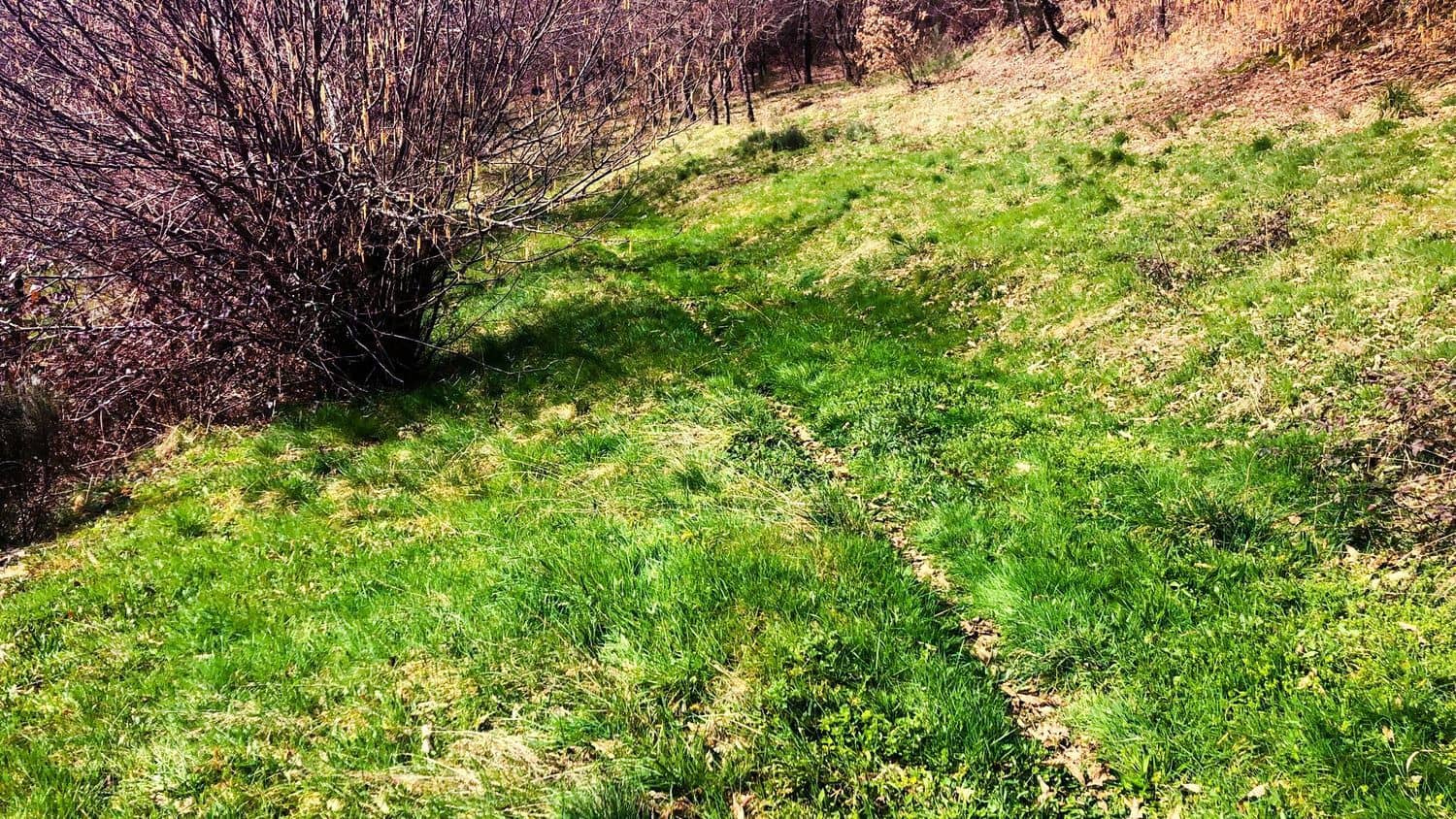 Terreno Non Edificato in vendita in Cangas del Narcea - 90.000 € (Rif: 8873852)