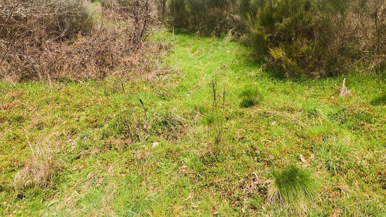 Terreno Non Edificato in vendita in Cangas del Narcea - 90.000 € (Rif: 8873852)