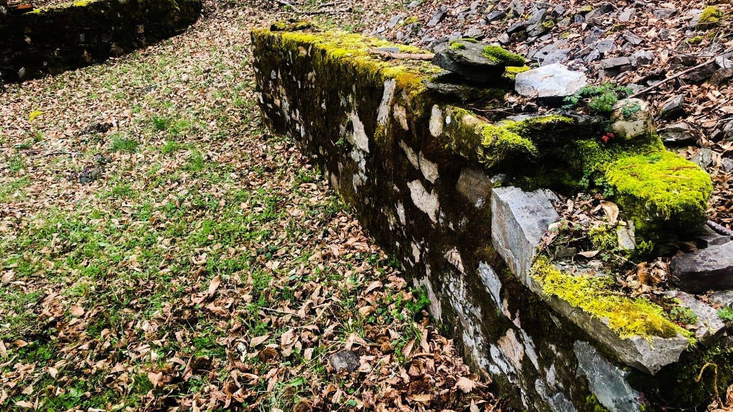 Terreno Non Edificato in vendita in Cangas del Narcea - 90.000 € (Rif: 8873852)