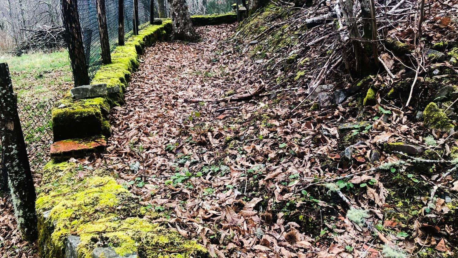 Terreno Non Edificato in vendita in Cangas del Narcea - 90.000 € (Rif: 8873852)