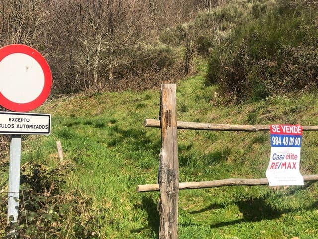 Grunde uden byggetilladelser til salg i Cangas del Narcea - € 90.000 (Ref: 8873852)