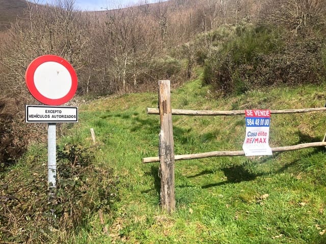 Undeveloped Land for sale in Cangas del Narcea - € 90,000 (Ref: 8873852)
