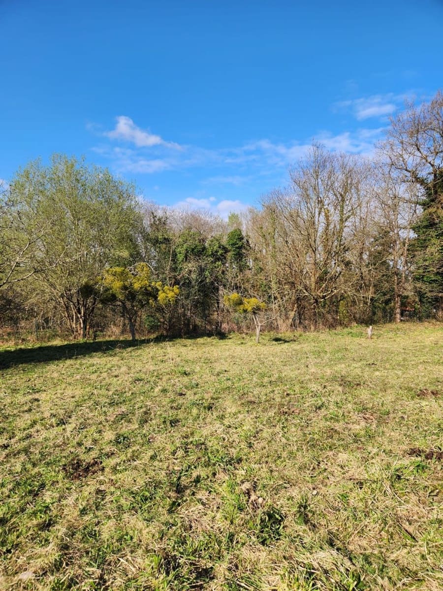 Grunde uden byggetilladelser til salg i Siero - € 88.000 (Ref: 8881290)