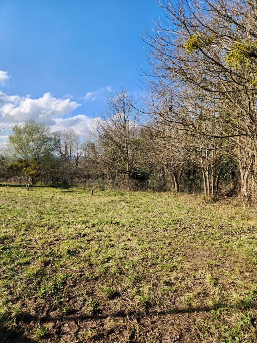 Grunde uden byggetilladelser til salg i Siero - € 88.000 (Ref: 8881290)