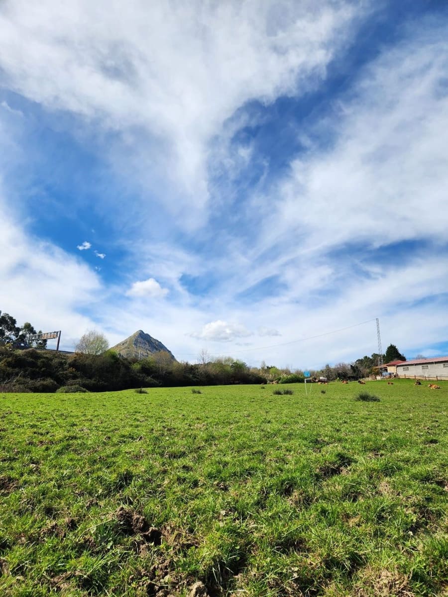 Grunde uden byggetilladelser til salg i Ribadesella - € 54.000 (Ref: 8881291)