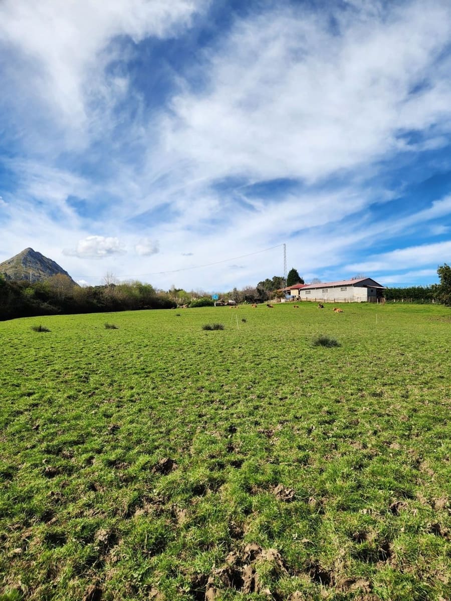 Grunde uden byggetilladelser til salg i Ribadesella - € 54.000 (Ref: 8881291)