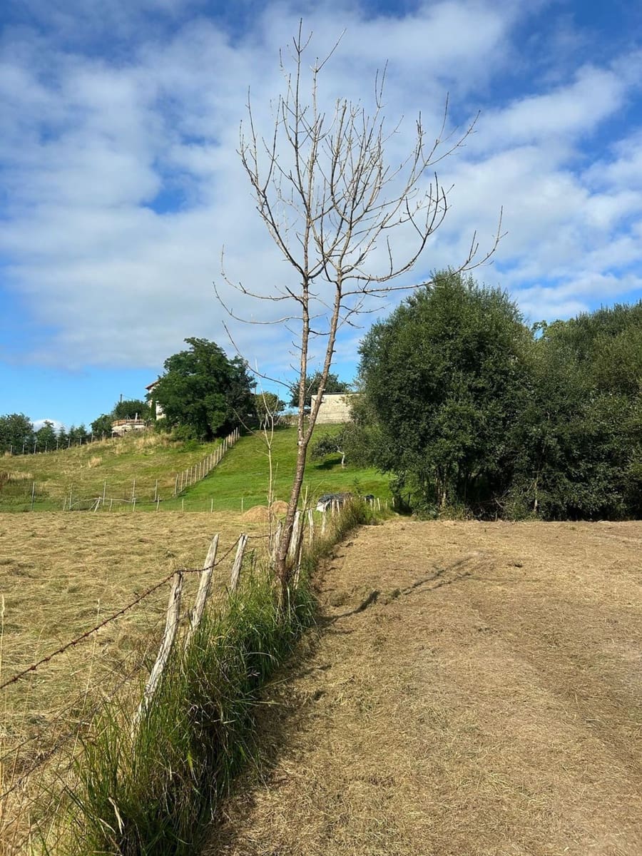 Grunde uden byggetilladelser til salg i Pilona - € 89.000 (Ref: 8883913)