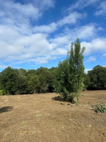 Undeveloped Land for sale in Piloña - € 89,000 (Ref: 8883913)