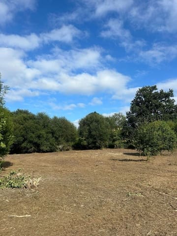 Undeveloped Land for sale in Piloña - € 89,000 (Ref: 8883913)