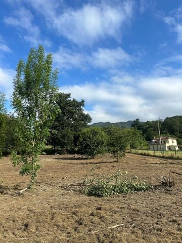 Undeveloped Land for sale in Piloña - € 89,000 (Ref: 8883913)