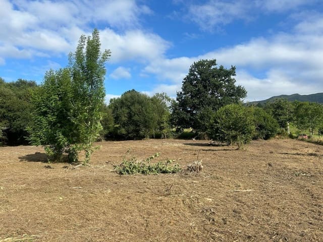Undeveloped Land for sale in Piloña - € 89,000 (Ref: 8883913)