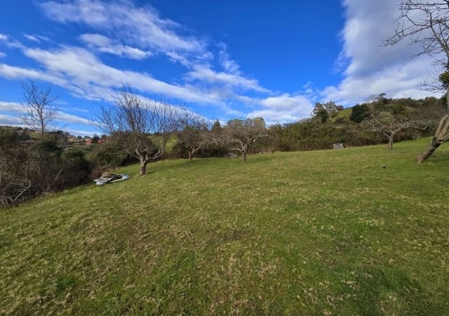 Mark till salu i Gijón - 50 000 € (Ref: 8883914)