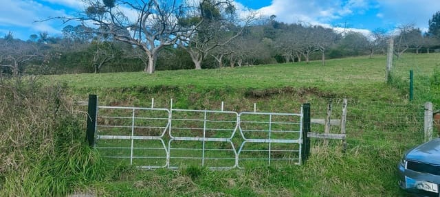 Landgrundstück zu verkaufen in Gijón - 50.000 € (Ref: 8883914)