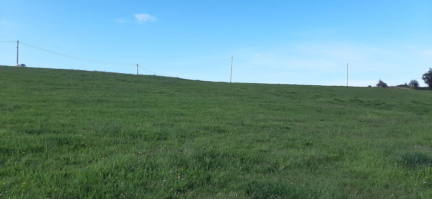 Teren niezagospodarowany na sprzedaż w Castrillon - 108 000 € (Ref: 8905009)