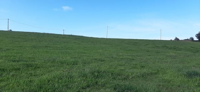 Undeveloped Land for sale in Castrillón - € 108,000 (Ref: 8905009)